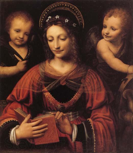 LUINI, Bernardino St.Catherine